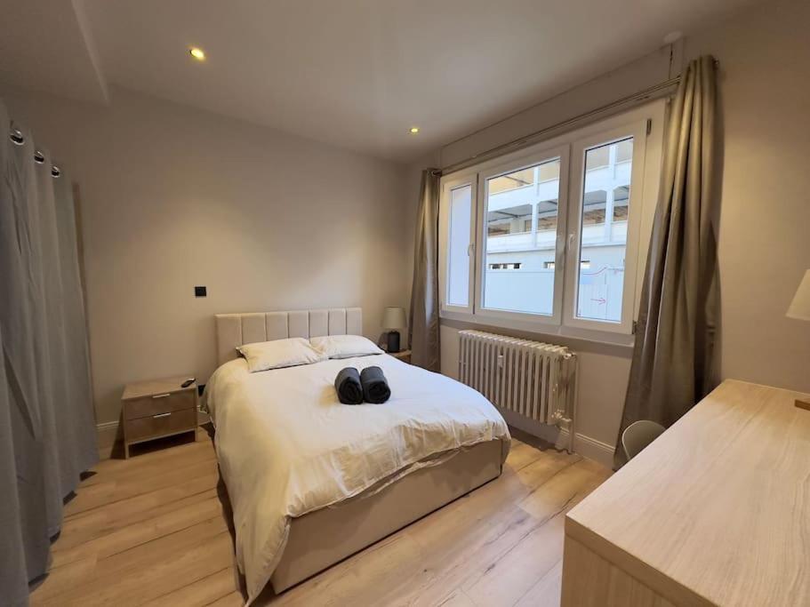 Joli 4 Pieces Tete D'or Appartement